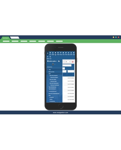 Light Theme for Dolibarr