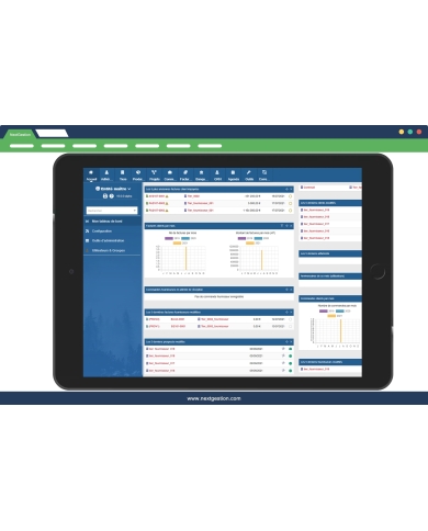 Light Theme de Dolibarr