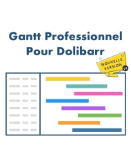 Gantt Professionnel Pour Dolibarr