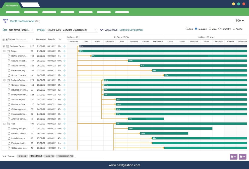 Gantt Professionnel Pour Dolibarr