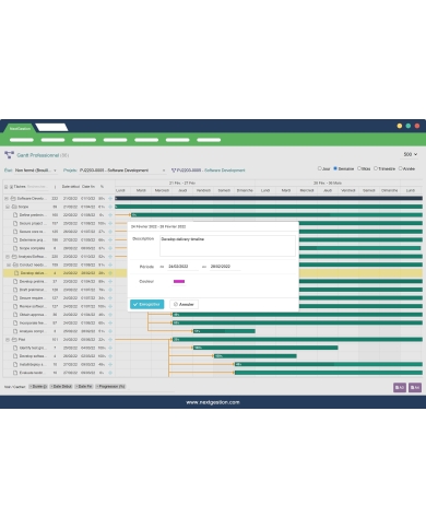 Gantt Professionnel Pour Dolibarr