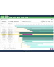 Gantt Professionnel Pour Dolibarr
