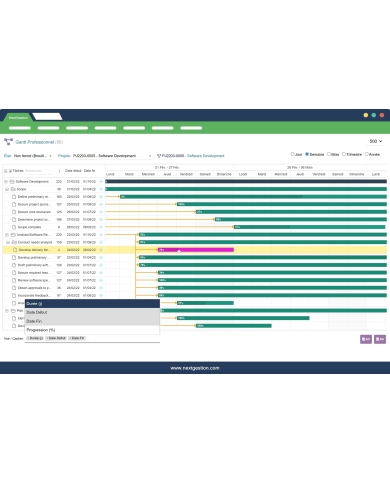 Gantt Professionnel Pour Dolibarr