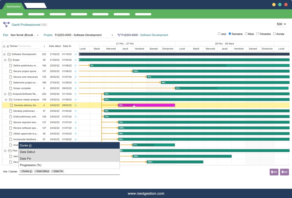 Gantt Professional For Dolibarr