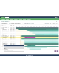 Gantt Professionnel Pour Dolibarr