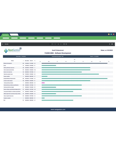 Gantt Professionnel Pour Dolibarr