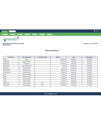 Statement of Dolibarr maturities.
