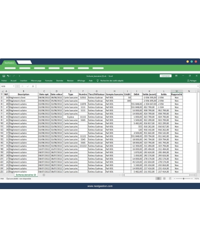 Exportieren Sie Dolibarr-Bankeinträge in Excel