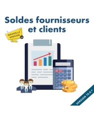 Solde fournisseurs et clients Dolibarr