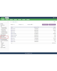 Saldo de proveedores y clientes de Dolibarr
