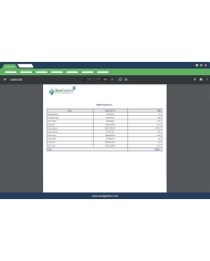 Dolibarr supplier and customer balance