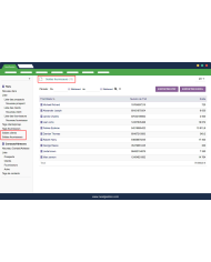 Saldo de proveedores y clientes de Dolibarr
