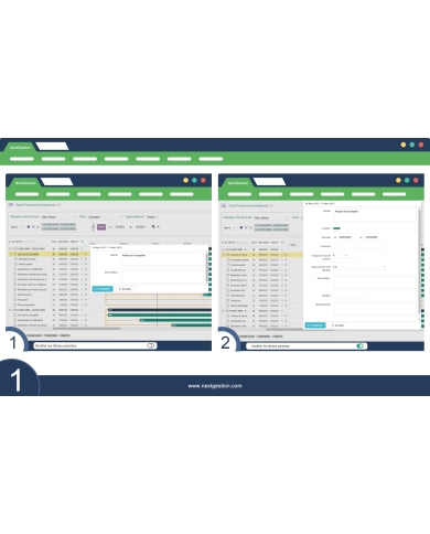 Fortgeschrittener professioneller Gantt Dolibarr