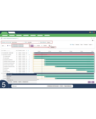 Gantt professionale avanzato Dolibarr
