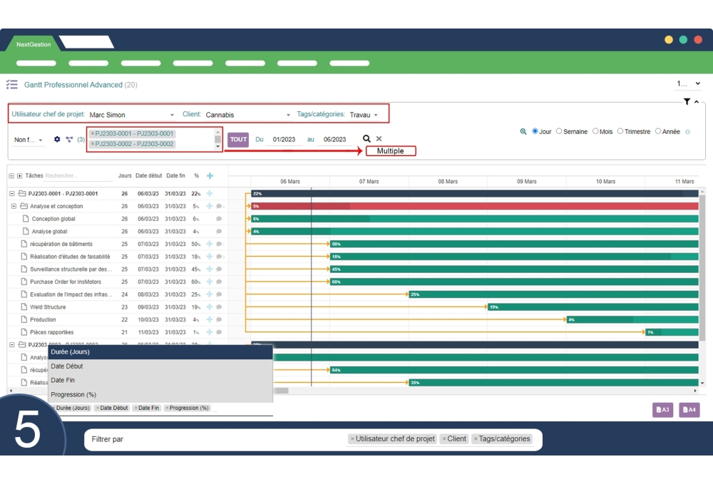 Avanzado Profesional Gantt Dolibarr