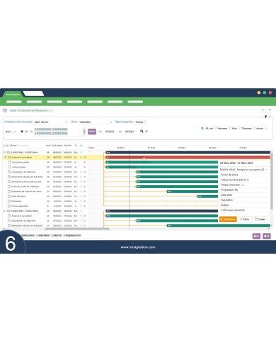 Fortgeschrittener professioneller Gantt Dolibarr