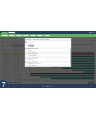 Fortgeschrittener professioneller Gantt Dolibarr