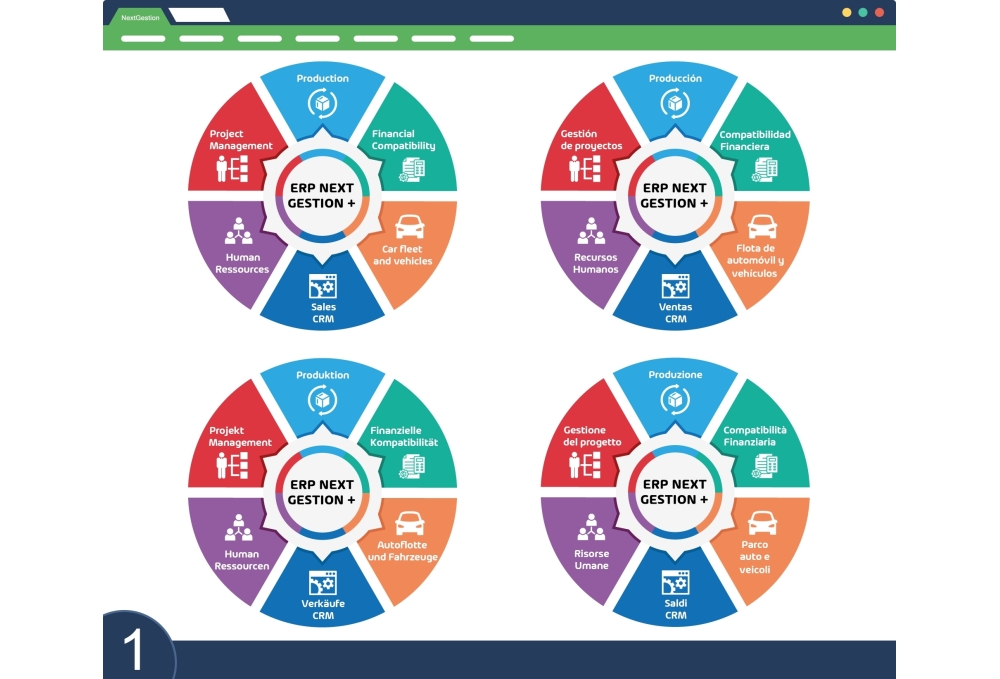 ERP NEXT GESTION PLUS