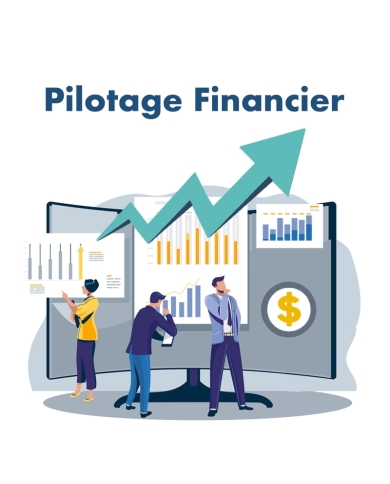 Pilotage Financier