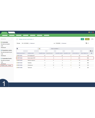 "Delivered - Sold Products" Module for Dolibarr