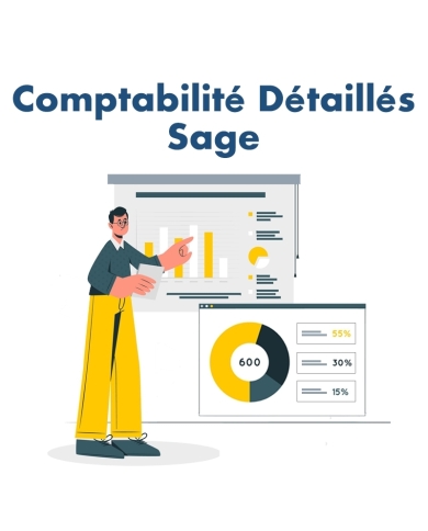 Módulo de Contabilidad Detallada Sage