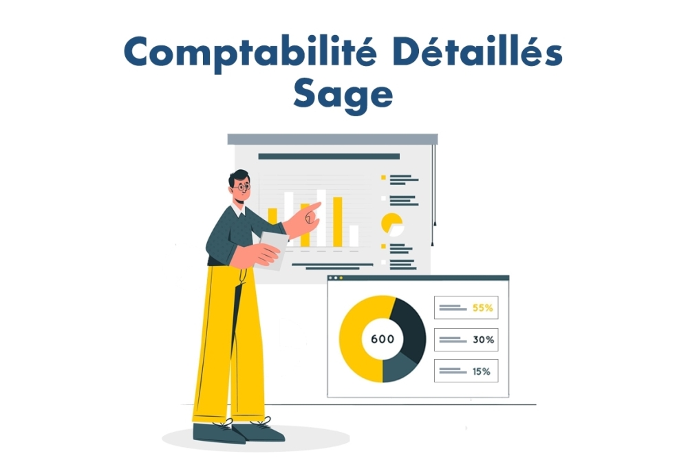 Detailed Sage Accounting Module