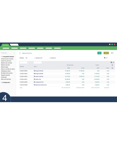Detailed Sage Accounting Module