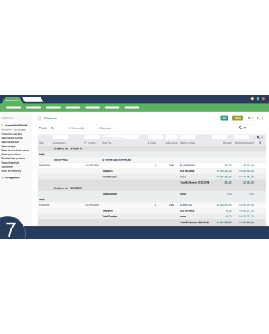 Detailed Sage Accounting Module