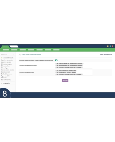 Detailed Sage Accounting Module